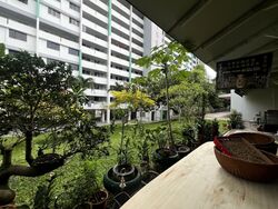 Mayflower Shopping & Food Centre (D20), Shop House #479469091